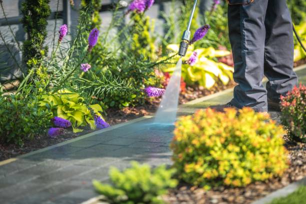 Best Sidewalk and Walkway Cleaning  in Monte Alto, TX