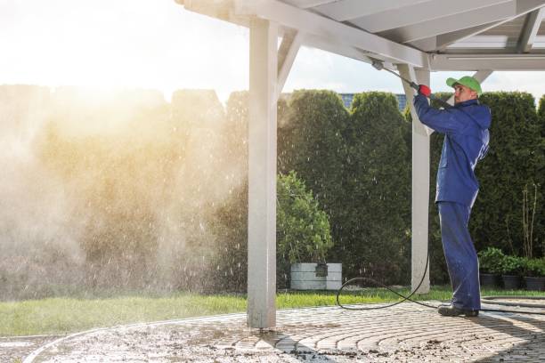 Best Heavy Equipment Washing  in Monte Alto, TX