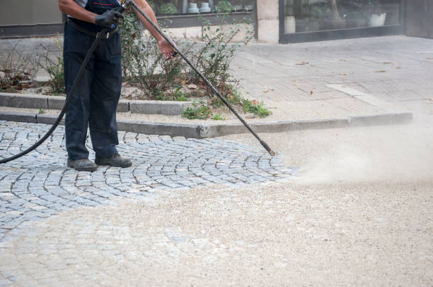 Best Warehouse Cleaning  in Monte Alto, TX